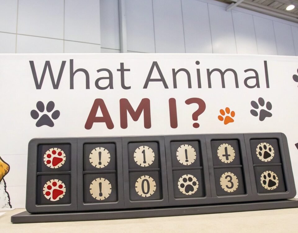 an online quiz interface, asking “what animal am I?"